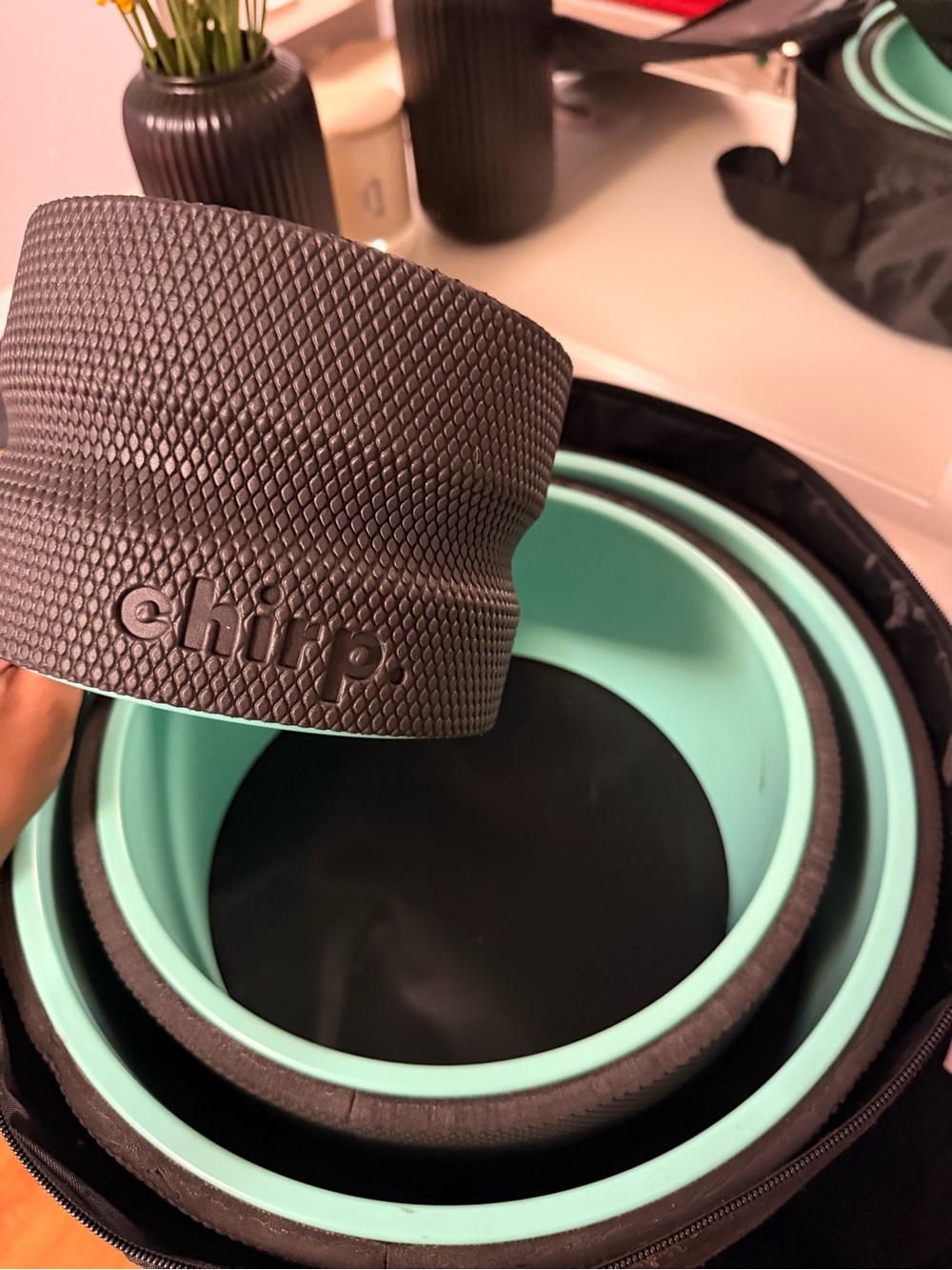Chirp Collapsible Silicone Bowl Set in Mint and Black